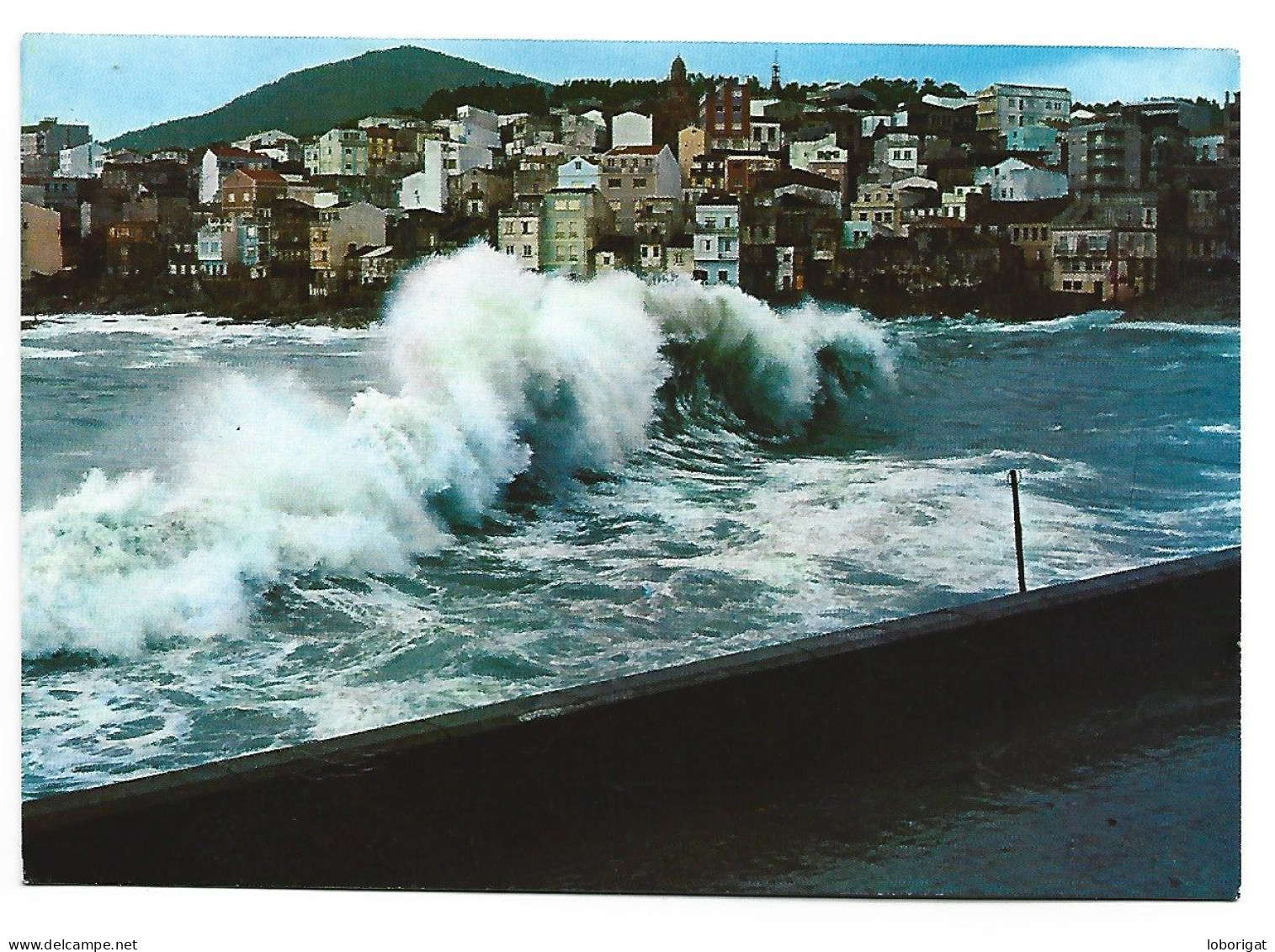 TEMPORAL EN EL PUERTO - STORM IN THE HARBOUR.-  LA GUARDIA / PONTEVEDRA / GALICIA.- ( ESPAÑA) - Pontevedra