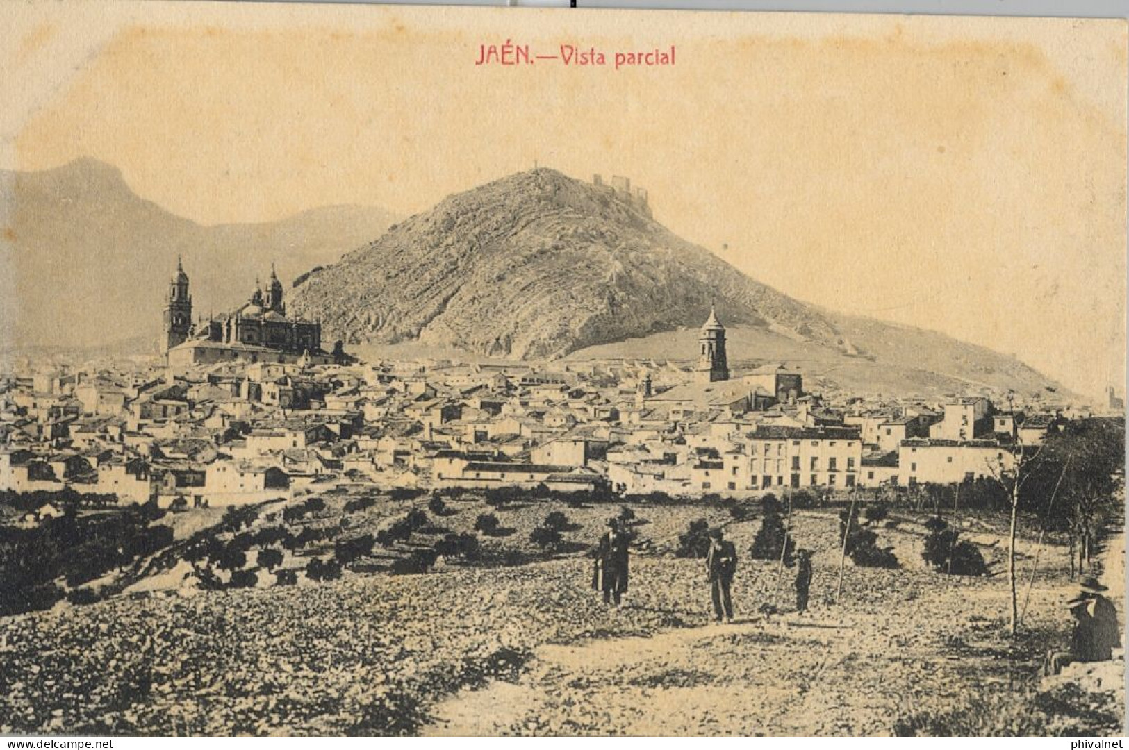 JAÉN , VISTA PARCIAL   ,  T.P.  NO CIRCULADA - Jaén