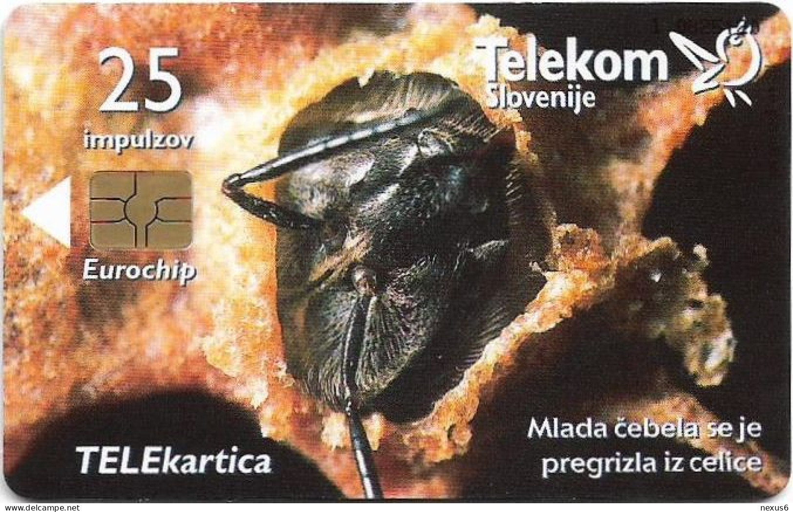 Slovenia - Telekom Slovenije - Carniolan Honey Bee - Mlada Čebela, Gem5 Red, 09.2001, 25Units, 4.980ex, Used - Slovénie