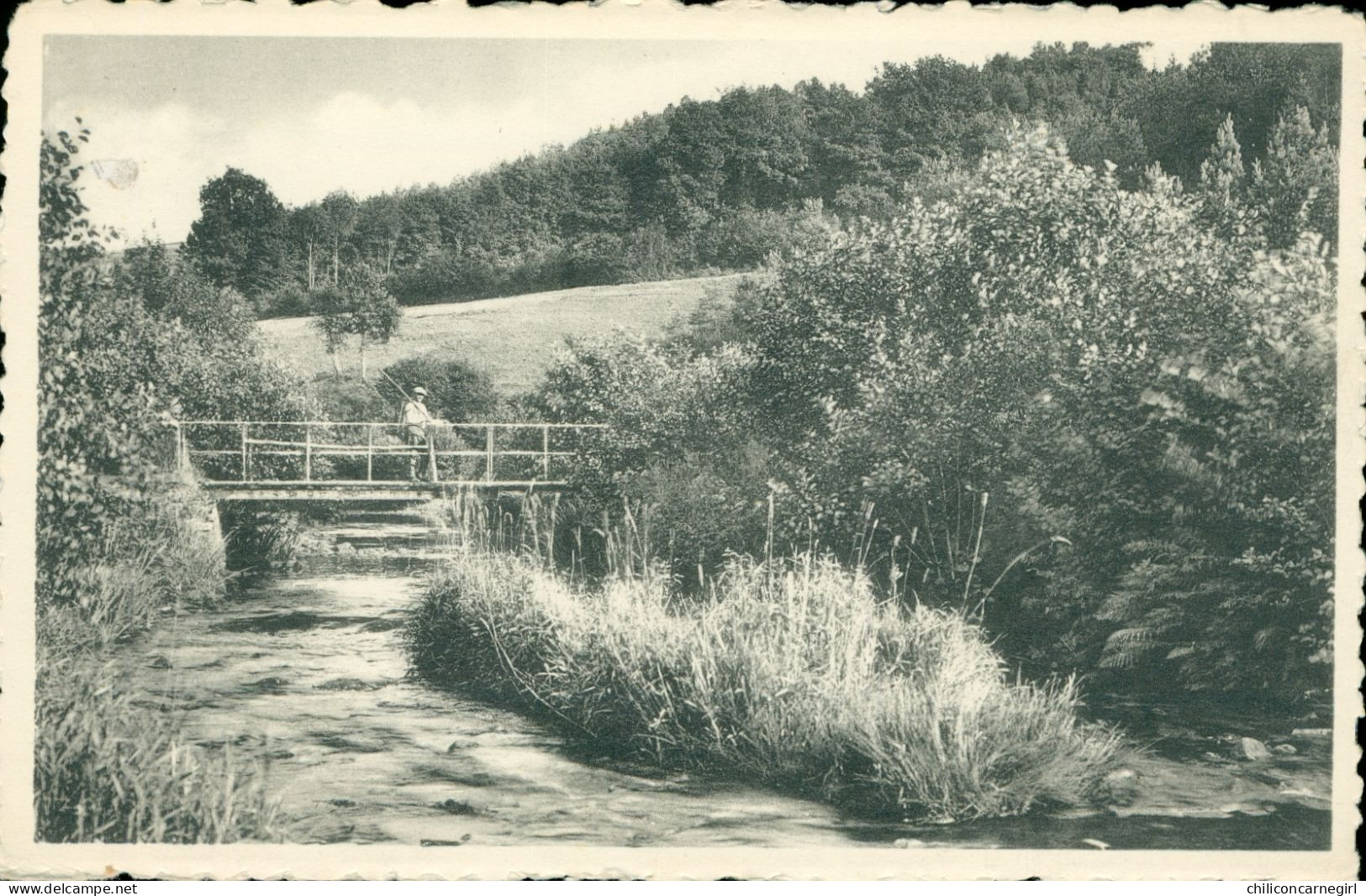 * DAVERDISSE SUR LESSE - Pont De Fays - Animée - Edit. LEMAIRE NELS THILL - Daverdisse