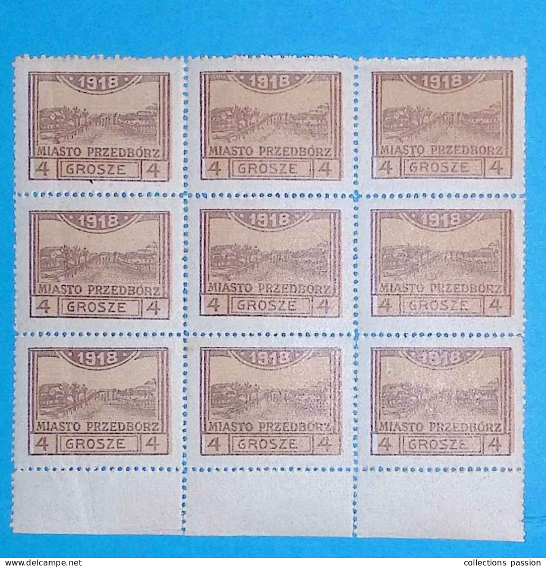 Timbre, BLOC DE 9, 1918,  MIASTO PRZEDBORZ, Poste Locale, GROSZE, 2 Scans, 4 - Blocs & Hojas