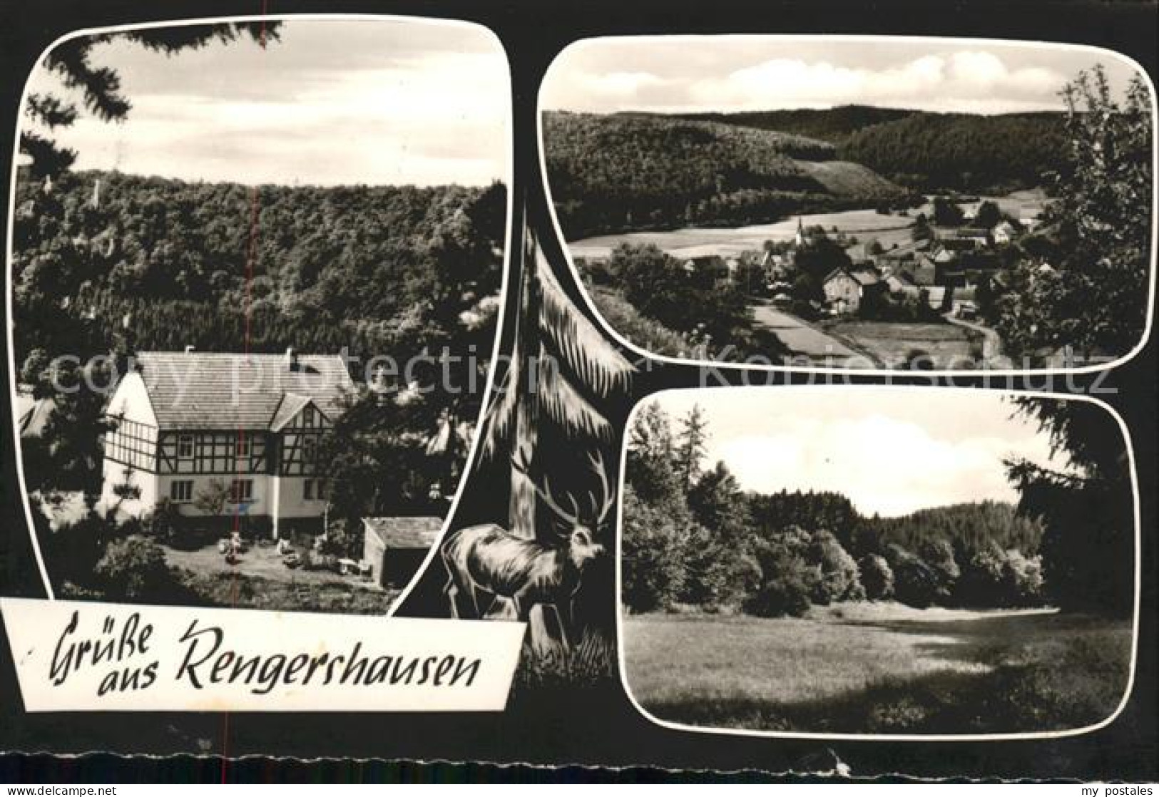 41600625 Rengershausen Frankenberg Eder Haus Waldblick Ferienwohnungen Panorama  - Frankenberg (Eder)