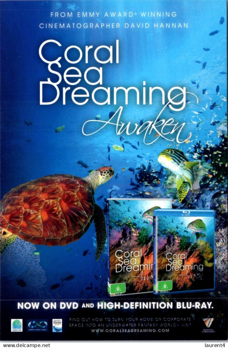 8-1-2024 (4 W 39) Coral Sea Dreaming (Tortoise & Fish) - Tartarughe