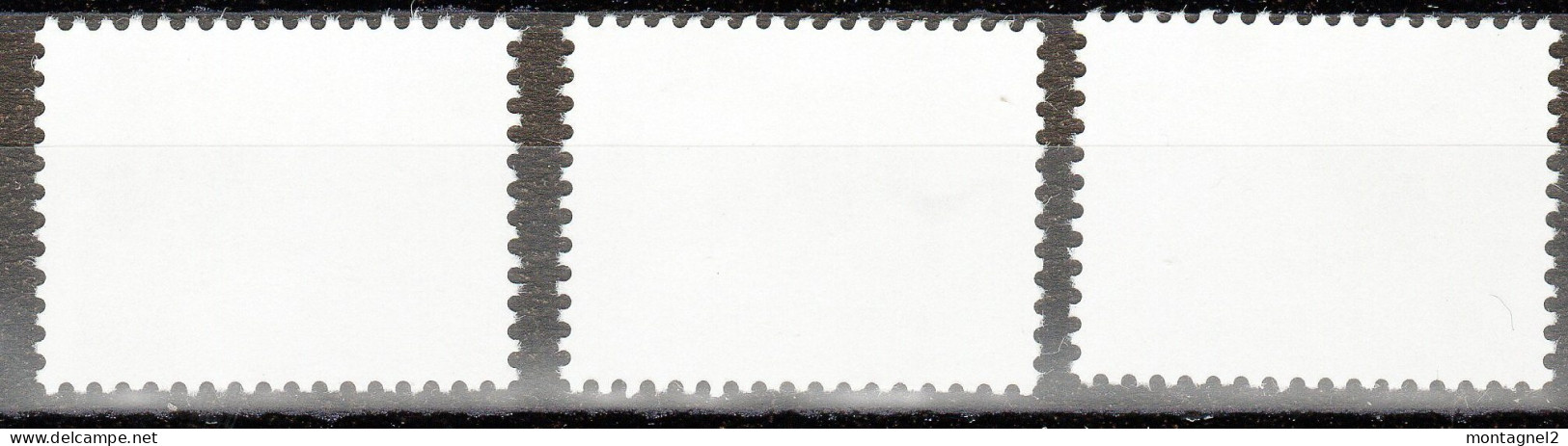 Timbre Des TAAF  N° 871 872 873 Neuf ** - Pinguine