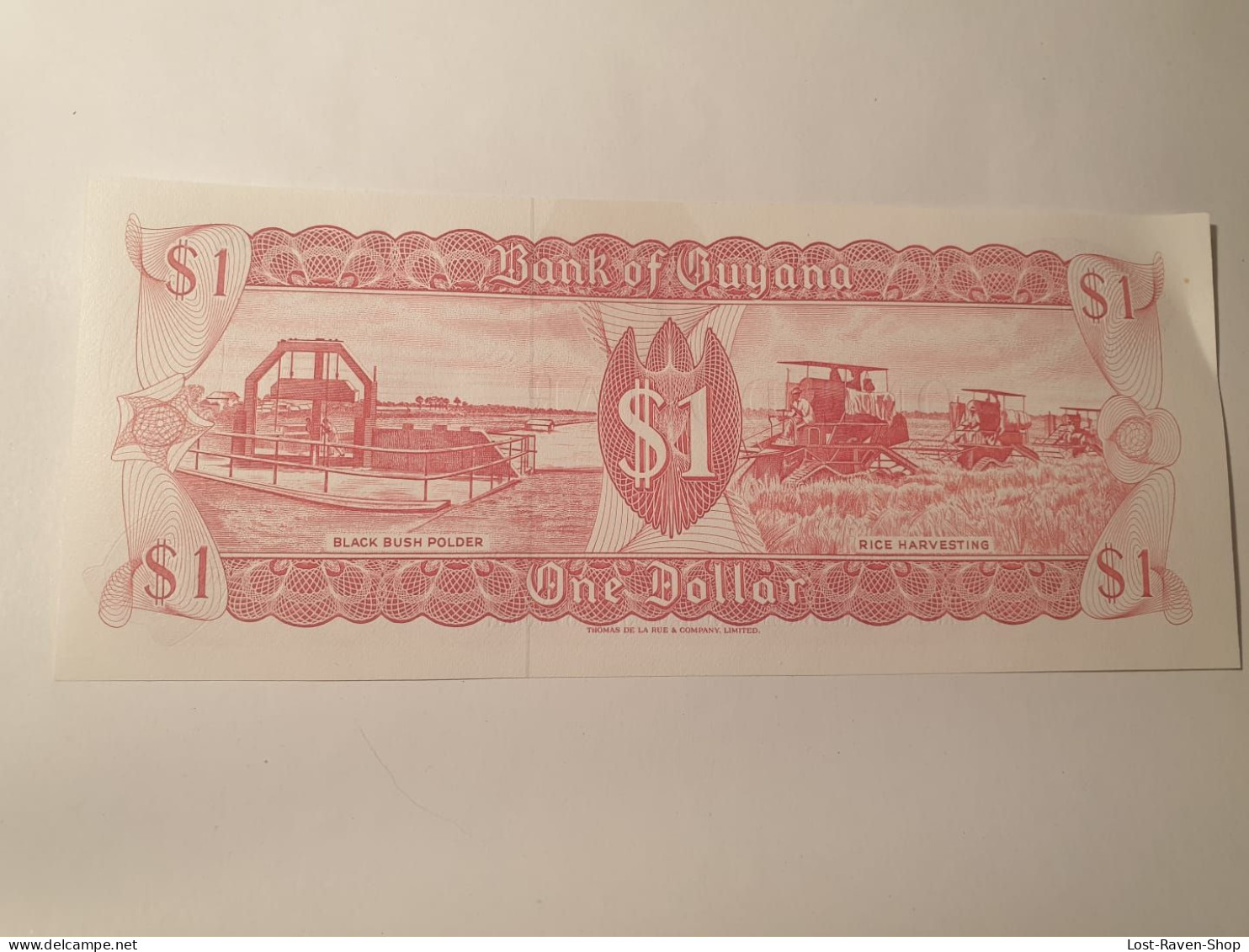 1 Dollar - Guyana - Guyana