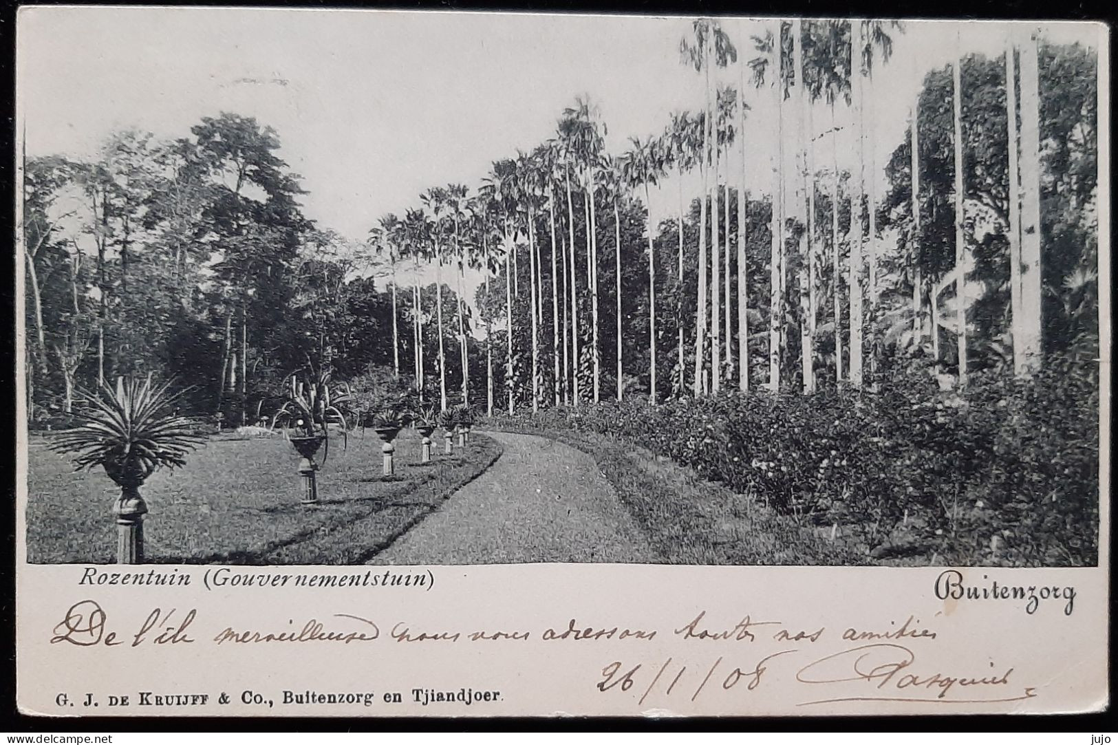 Indonésie - Rozentuin (Gouvernementstuin) - Buitenzorg - Indonésie