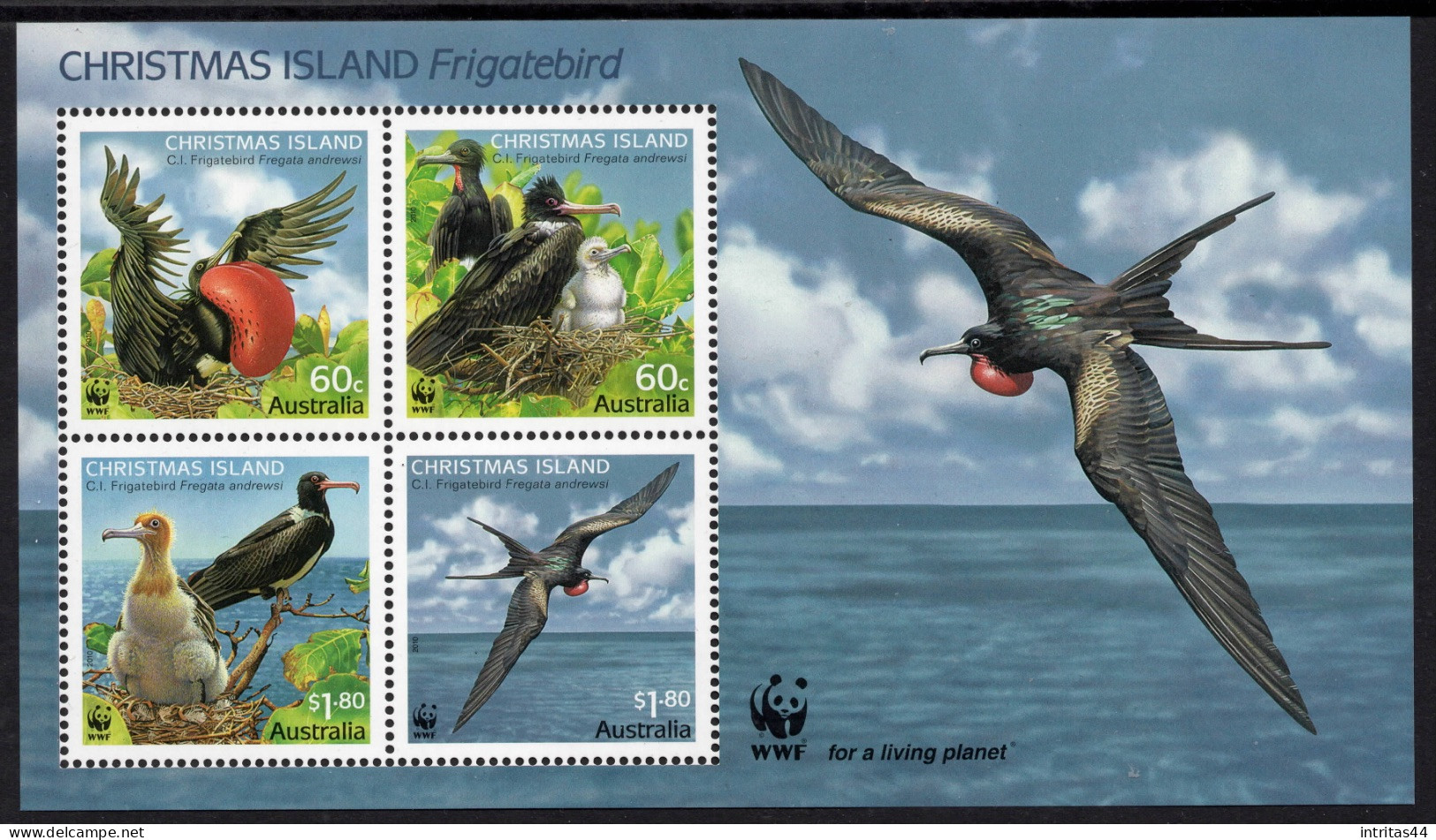 CHRISTMAS ISLAND 2010 (WWF)  " ENDANGERED SPECIES, FRIGATEBIRD  " SHEET MNH - Christmas Island