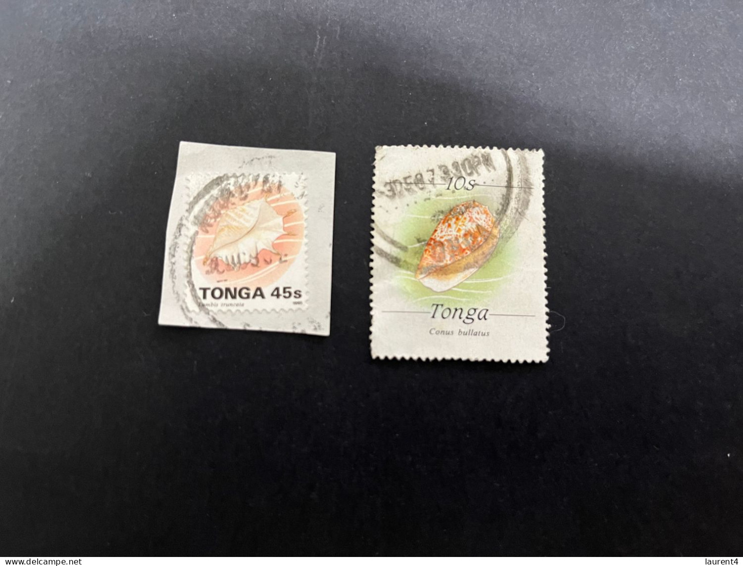 8-1-2024 (stamp) 2 Stamps (used) Tonga - Shells / Coquillage - Schalentiere