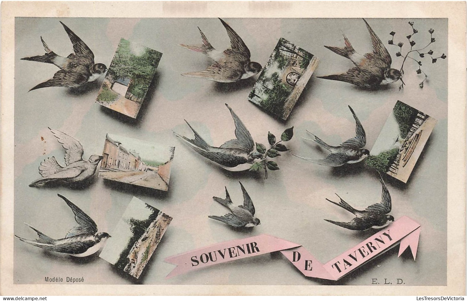 FRANCE - Taverny - Souvenir De Taverny - Hirondelles Avec Des Cartes Postales - Carte Postale Ancienne - Taverny