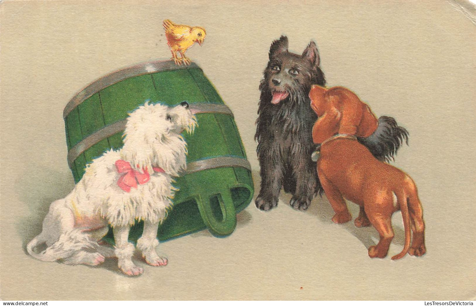 ANIMAUX - Chiens - Trois Chiens Observant Un Poussin Sur Un Tonneau Vert - Carte Postale Ancienne - Chiens