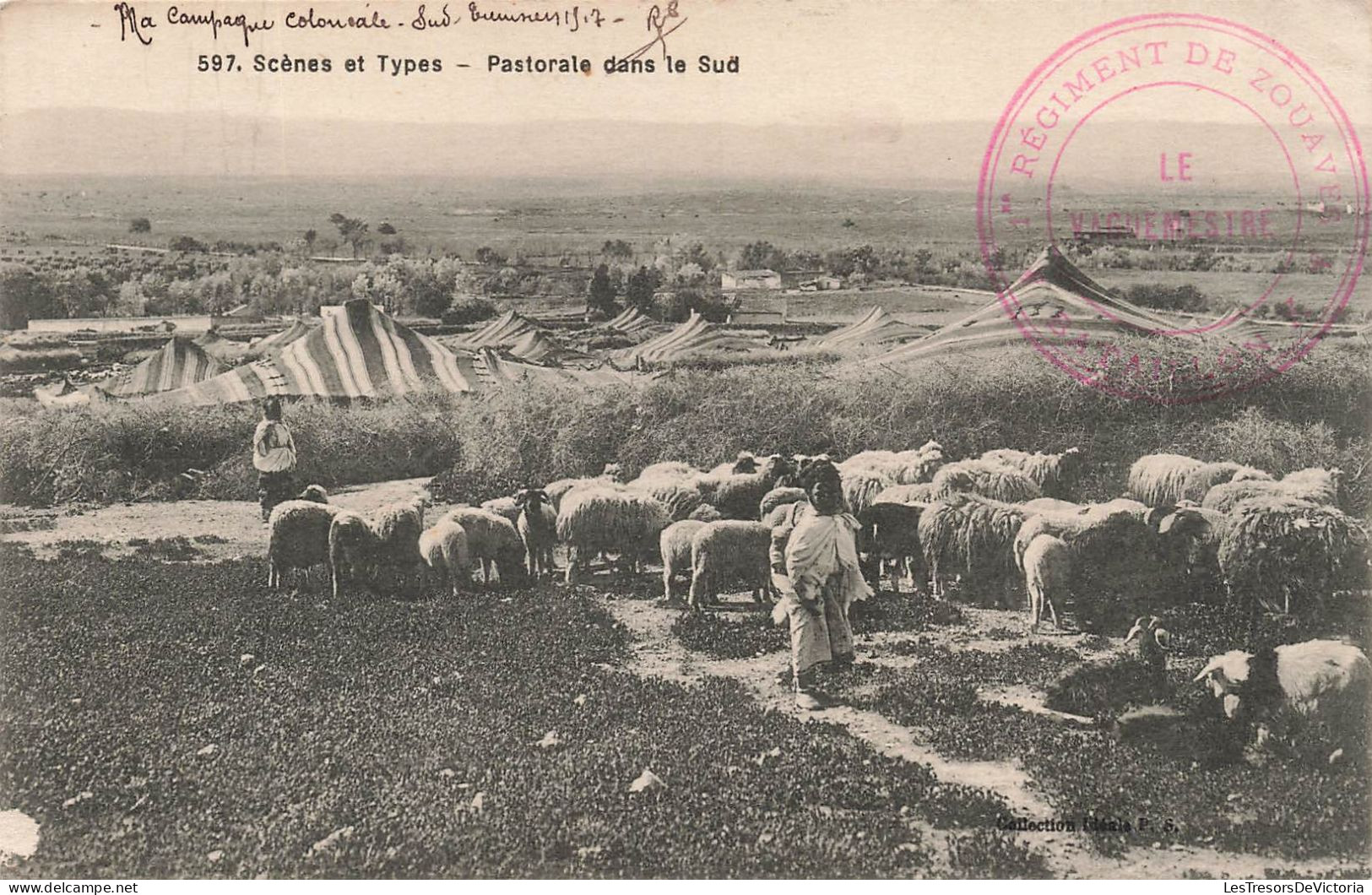 AFRIQUE - Scènes Et Types - Pastorale Dans Le Sud - Carte Postale Ancienne - Unclassified