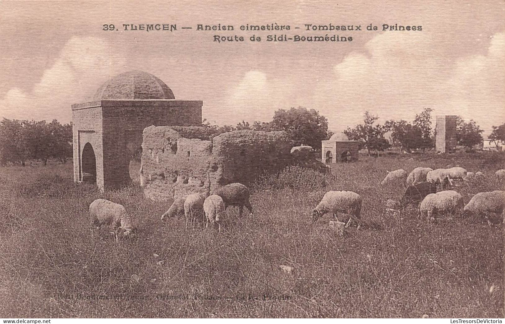 ALGERIE - Tlemcen - Ancien Cimetière - Tombeaux De Princes - Route De Sidi Boumédine - Carte Postale Ancienne - Tlemcen