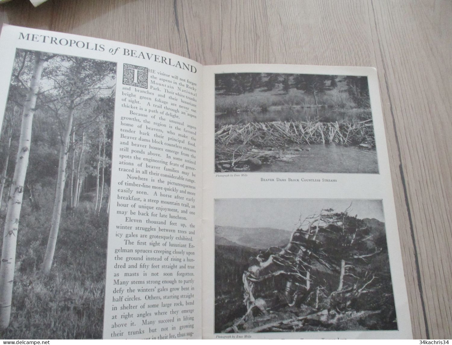 Guide en Anglais Department of interior texte photos carte maps vers 1920/1930 Rocky Mountain National Park 20p