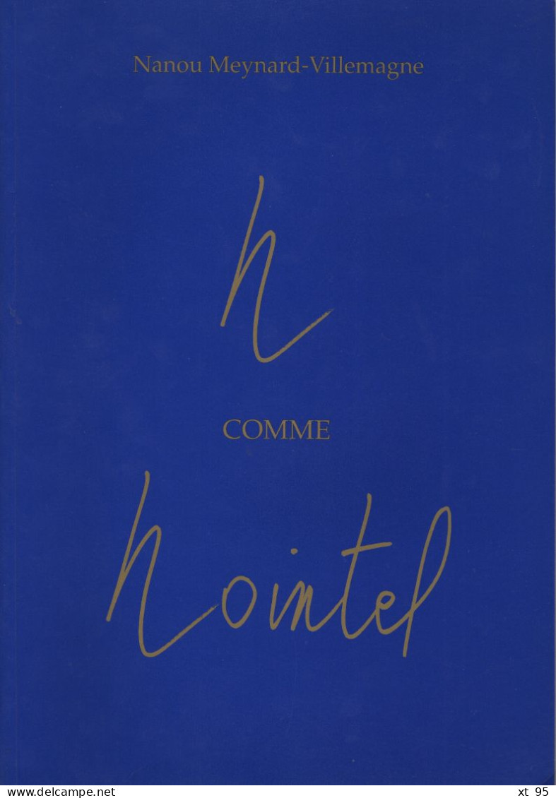 N Comme Nointel - Nanou Meynard - 1995 - 292 Pages - Ile-de-France