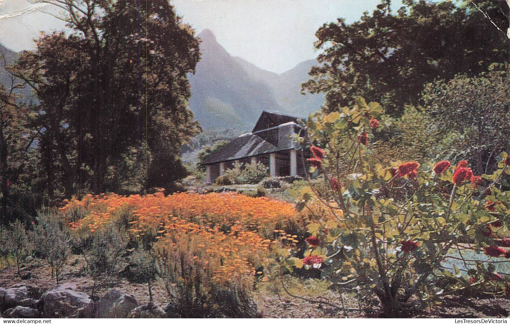 AFRIQUE DU SUD - Le Cap - Tearoom Kristenbosch - Colorisé - Carte Postale - Afrique Du Sud