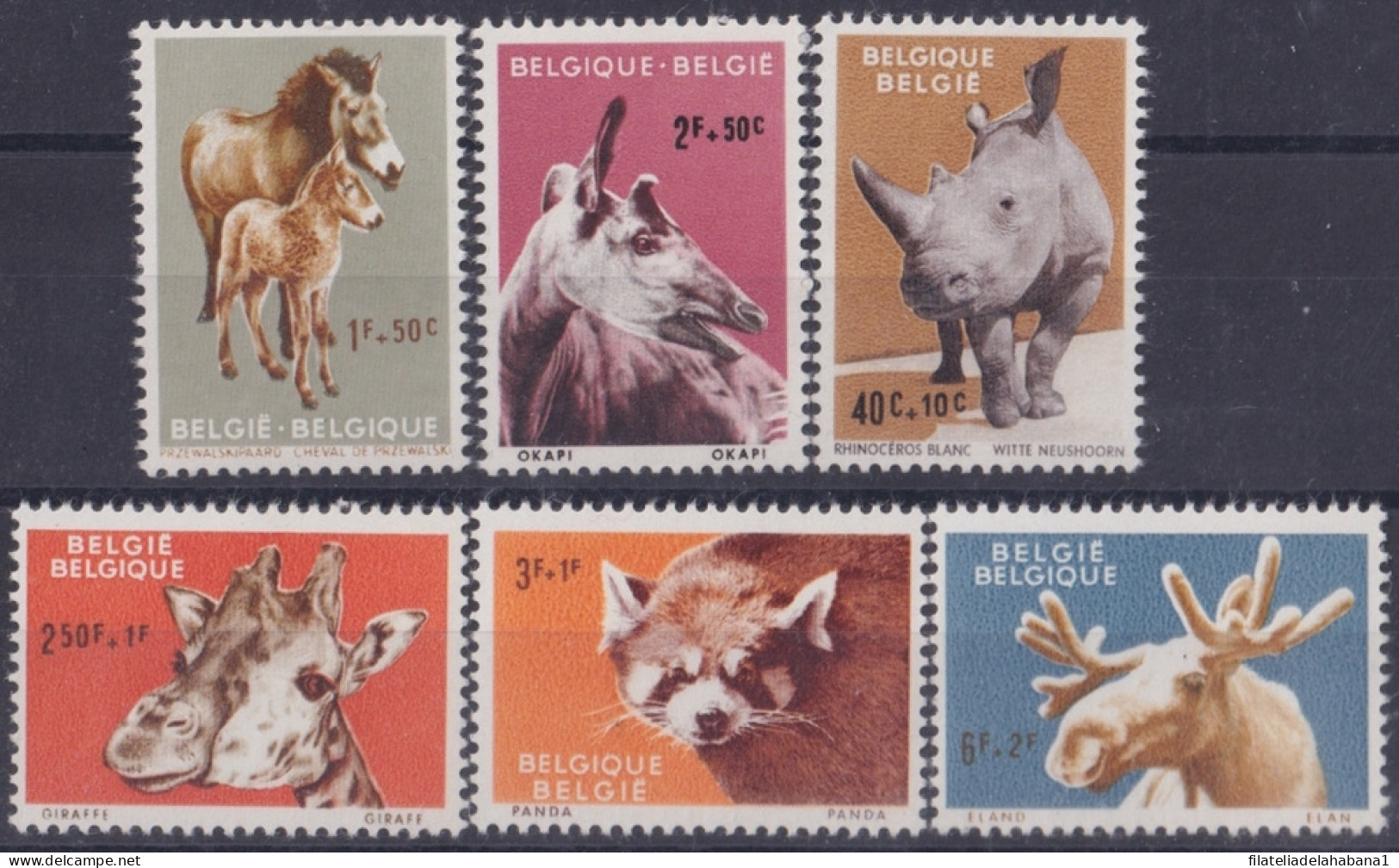 F-EX47412 BELGIUM MNH 1961 ANTWERP ZOO RHINO GIRAFEE OKAPI PANDA ELAND.  - Other & Unclassified