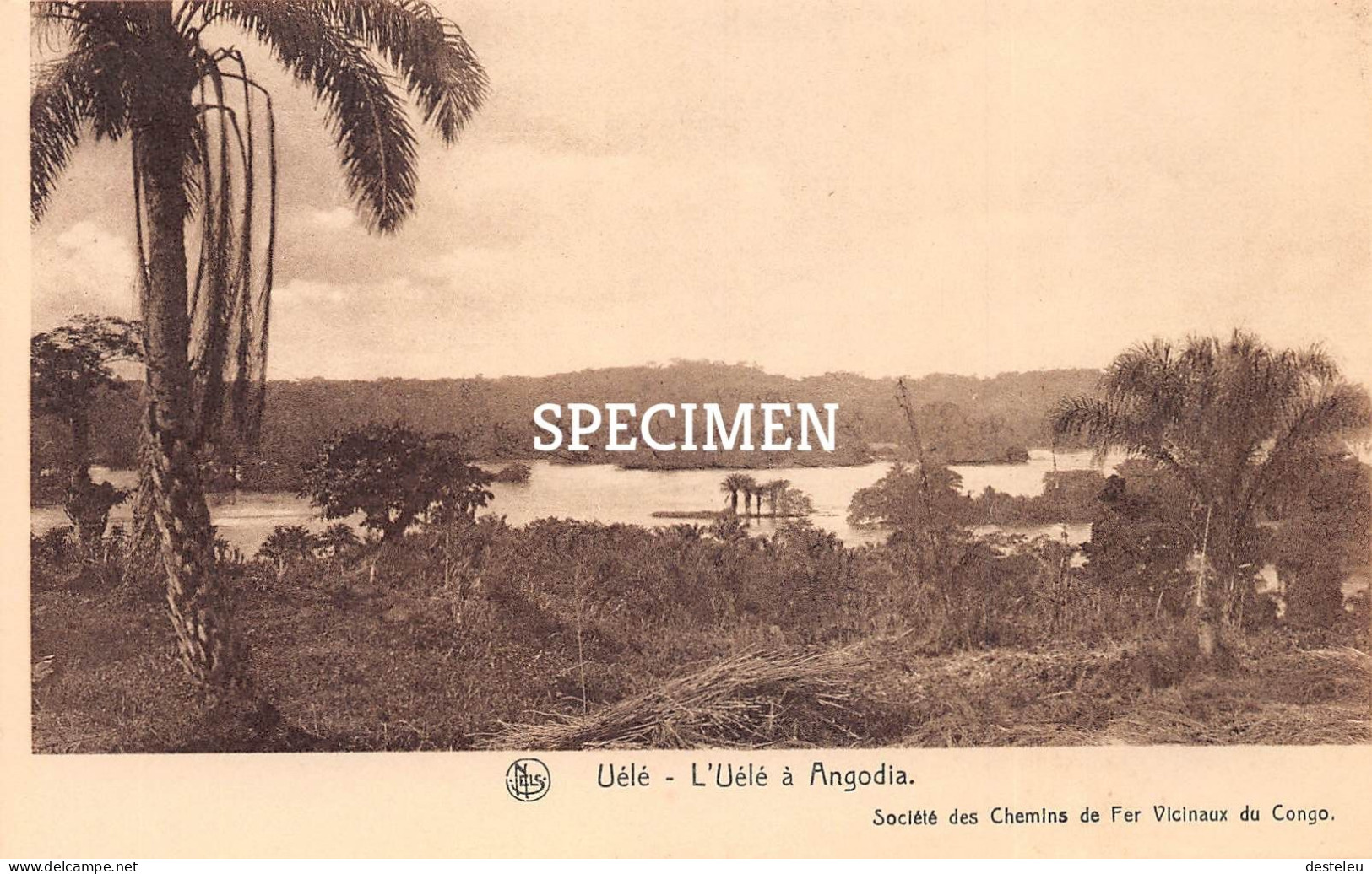 Uélé à Angodia - Société Des Chemins De Fer Vicinaux Du Congo - Congo Belge