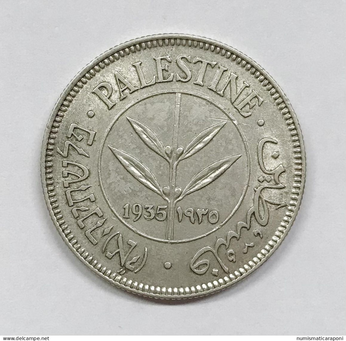 Palestina Britannica Israele Palestine 50 Mils 1935 KM#6 E.1313 - Israel