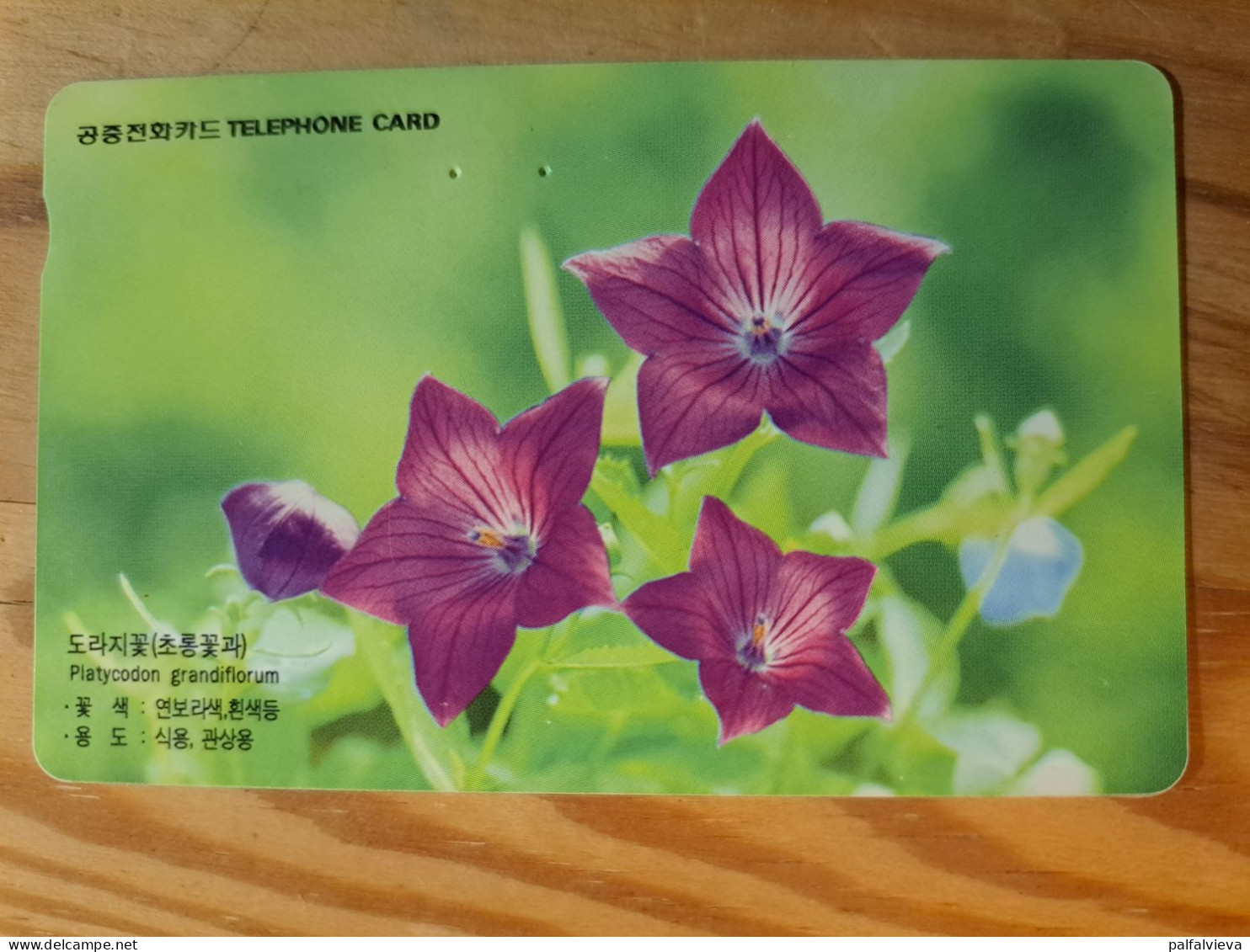 Phonecard South Korea - Flower - Korea (Zuid)