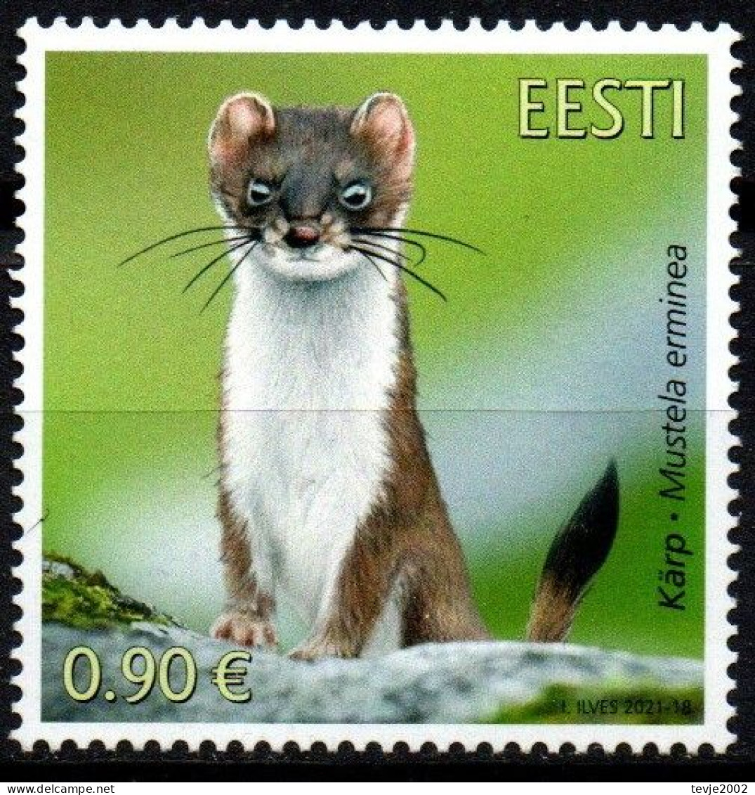 Estland Eesti 2021 - Mi.Nr. 1020 - Postfrisch MNH - Tiere Animals Hermelin - Roedores