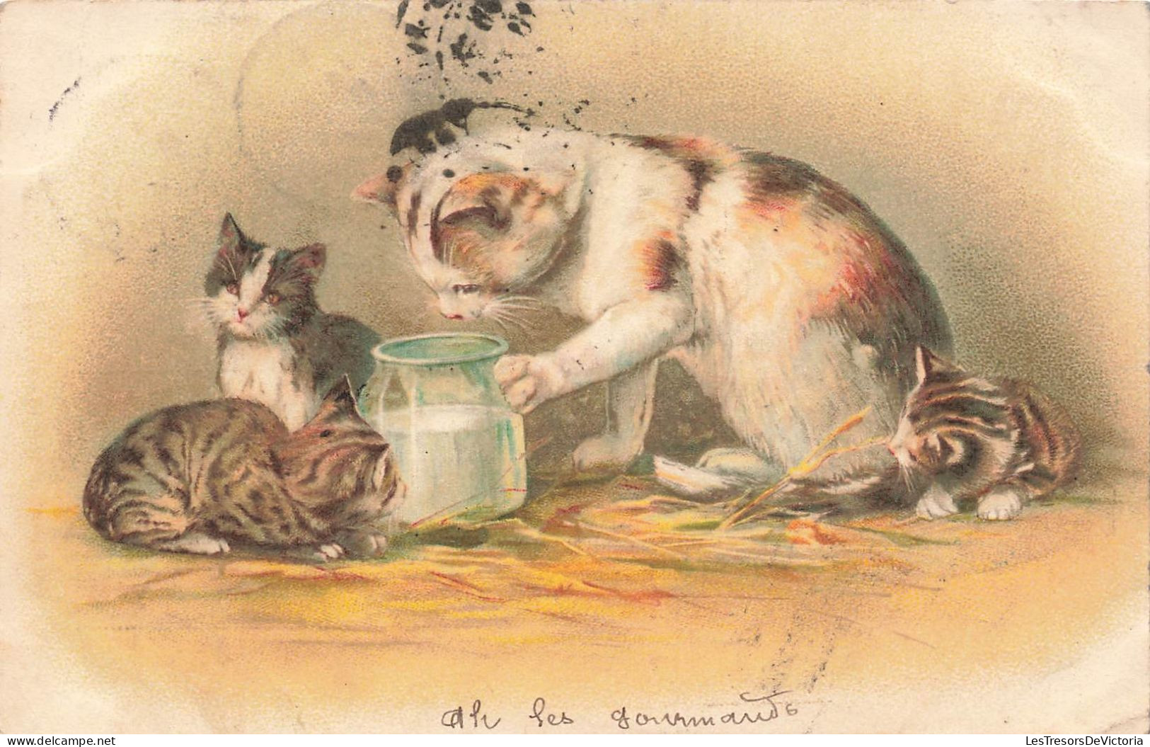 ANIMAUX - Chats - Ah Les Gourmands - Des Chats Avec Un Verre De Lait - Carte Postale Ancienne - Cats