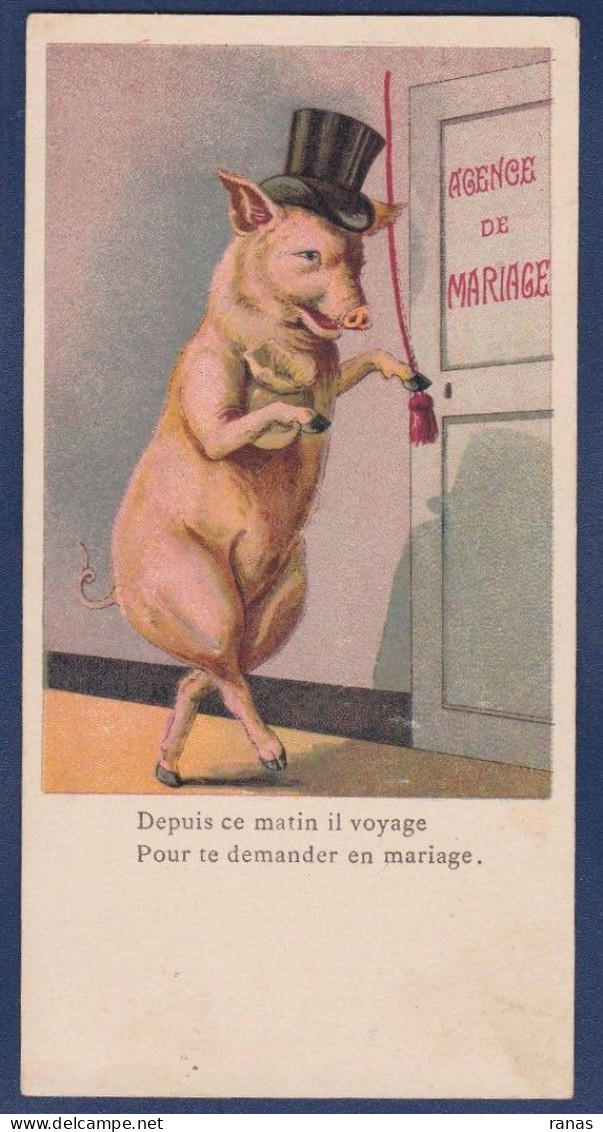 CPA Cochon Pig Caricature Satirique Non Circulé Position Humaine - Varkens