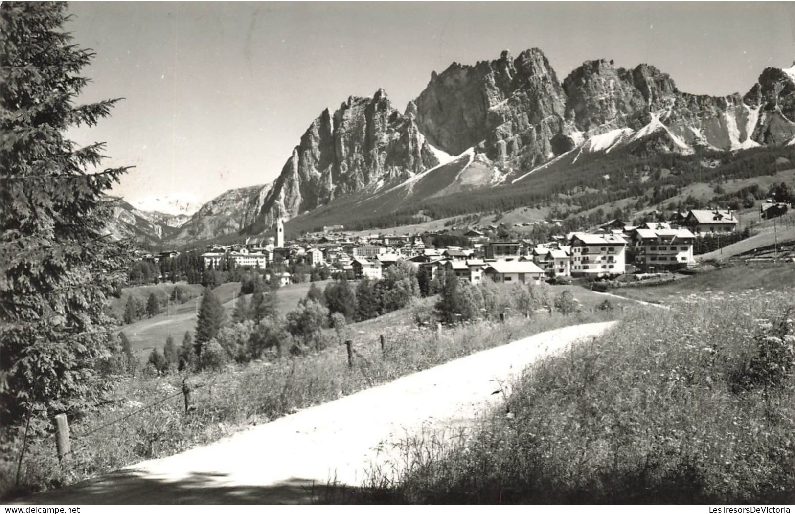 ITALIE - Belluno - Pomagagnon - Cortina - Carte Postale Ancienne - Belluno