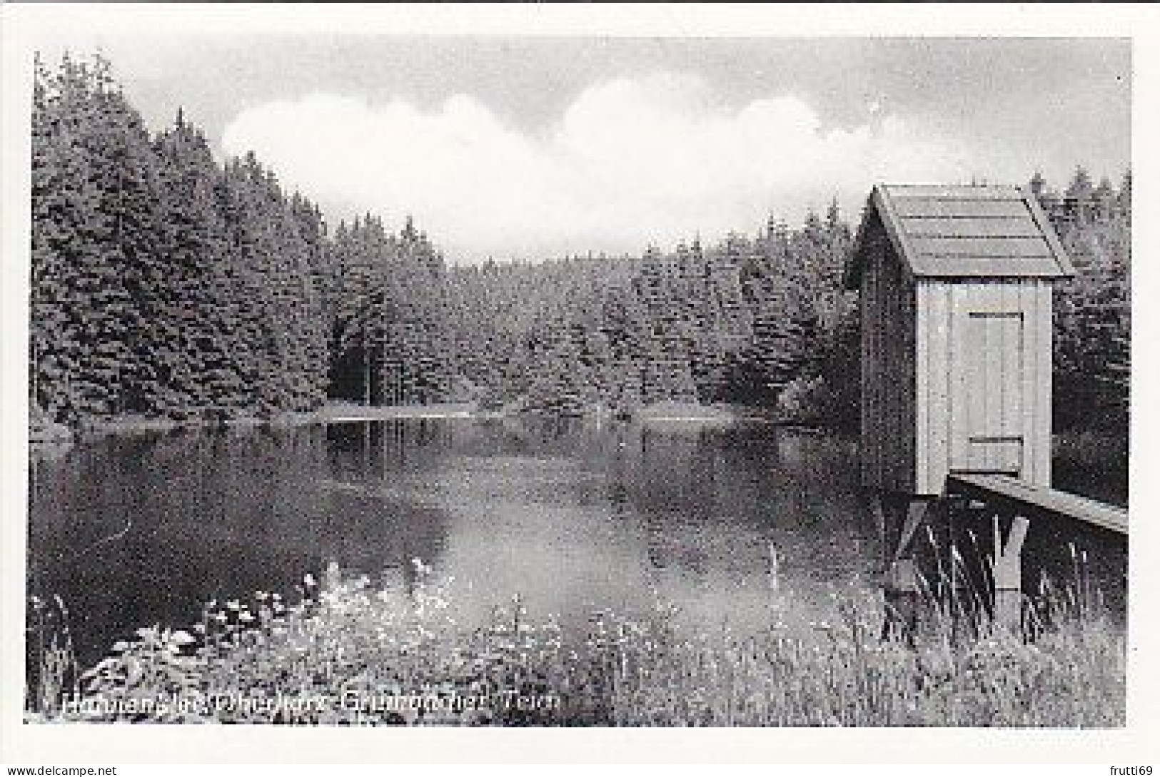 AK 193508 GERMANY - Hahnenklee / Oberharz - Grumbacher Teich - Oberharz