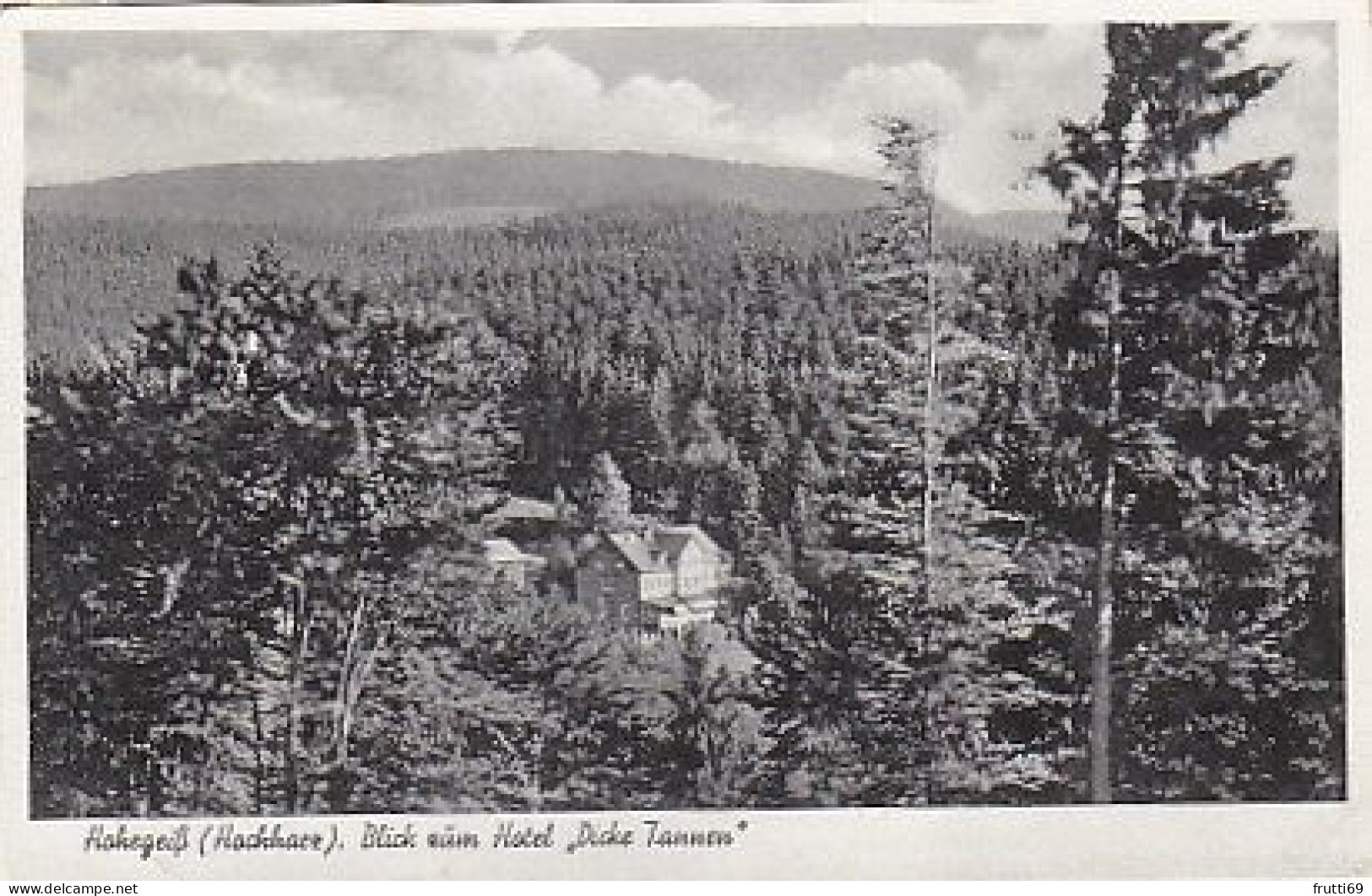 AK 193529 GERMANY - Hohegeiß / Hochharz - Blick Zum Hotel Dicke Tannen - Oberharz