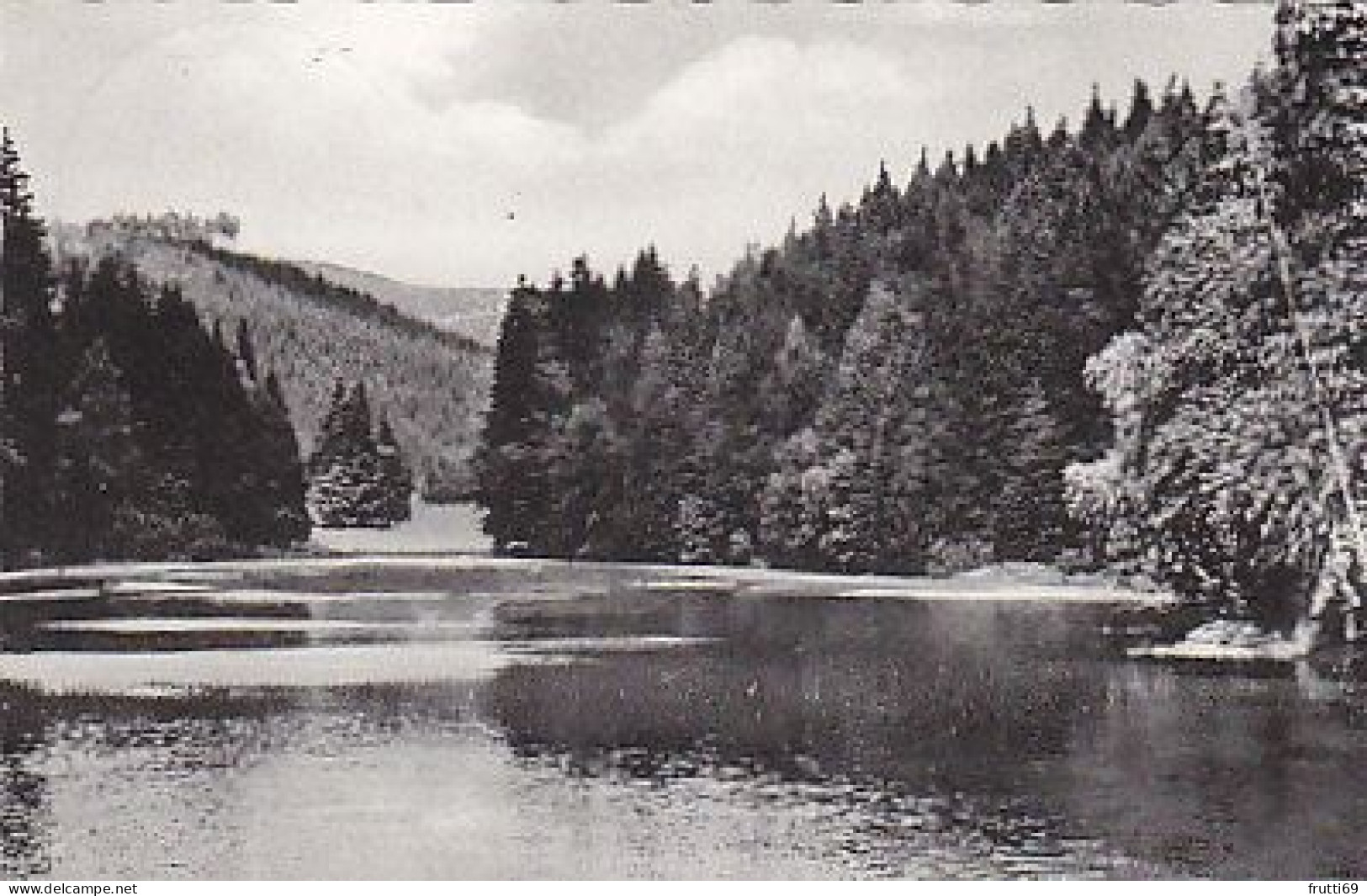 AK 193582 GERMANY - Harz - Neuer Teich Zwischen Zorge Und Hohegeiß - Oberharz