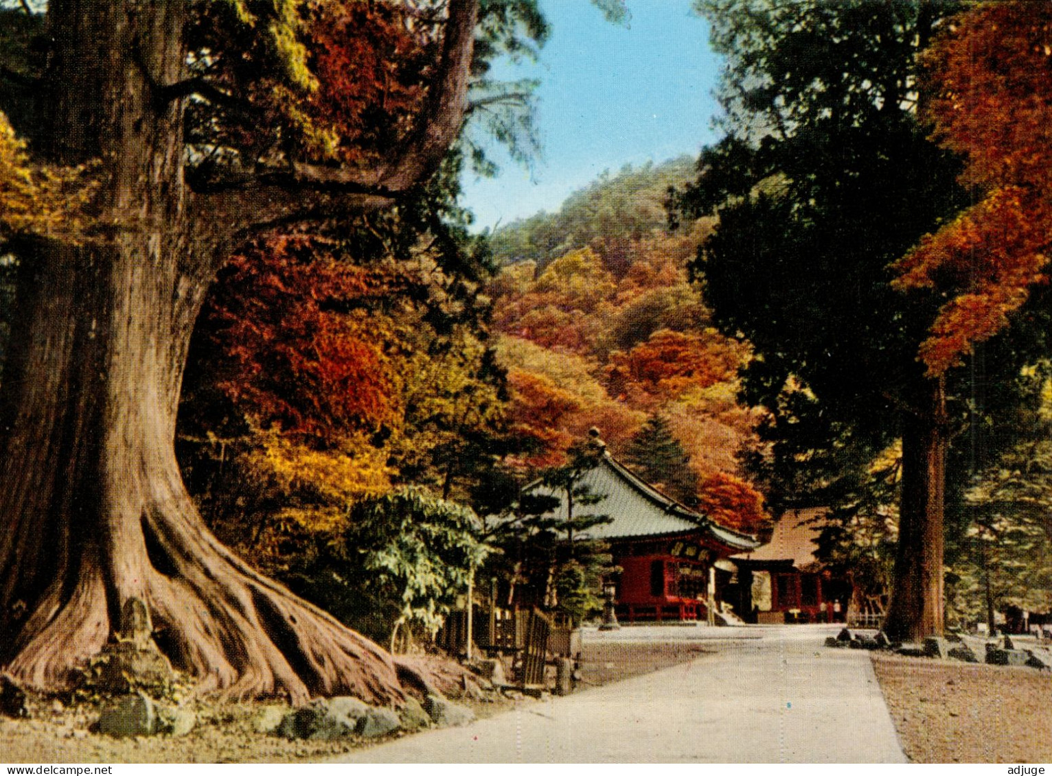 Japon- Lot De 8 Cartes - Parc National NIKKO + Pochette  * SUP * Cf.scans - Hiroshima