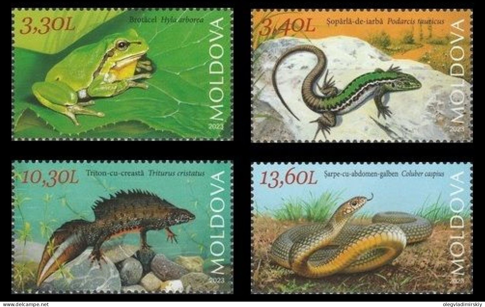 Moldova Moldavia Moldavien 2023 Fauna Red Book Reptiles And Amphibians Frog Lizard Triton Snake Set Of 4 Stamps MNH ** - Grenouilles