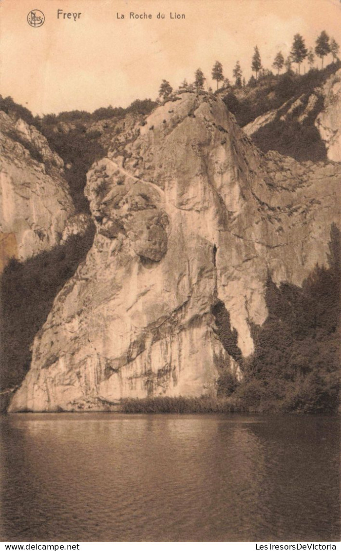 BELGIQUE - Freyz - La Roche Du Lion - Carte Postale Ancienne - Hastière