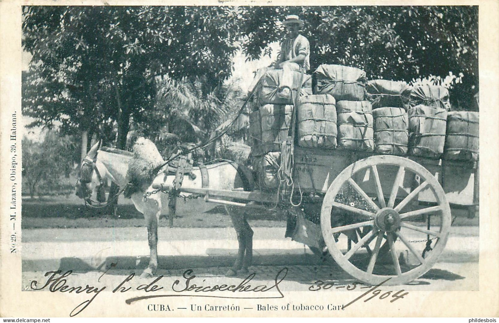 CUBA  Un Carreton Bales Of Tobacco Cart - Cuba