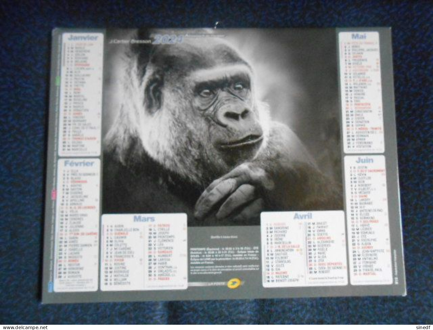 Calendrier 2024 Almanach Facteur Gorille  Lion Photo  NB Intérieur Département Sarthe 72 Singe Poste Plan Le MANS - Grand Format : 2001-...