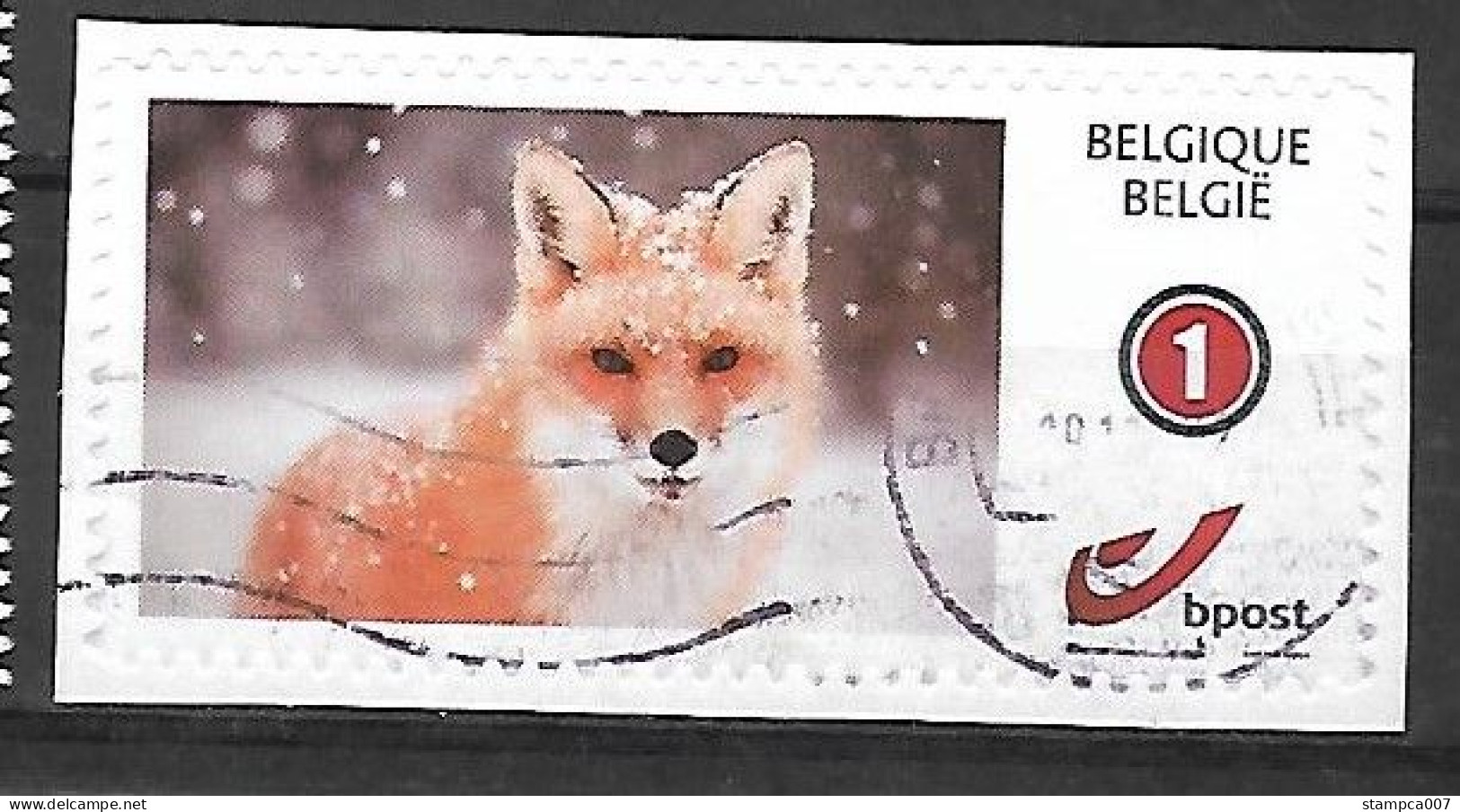 Fauna Fox Renard Vos - Used