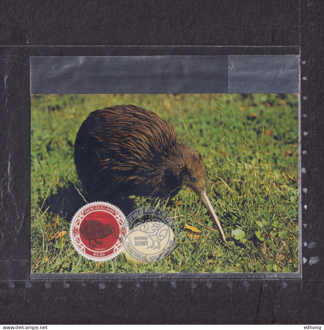 [Carte Maximum / Maximum Card /  Maximumkarte] New Zealand 2018 | Round Kiwi, Endemic Bird - Climbing Birds