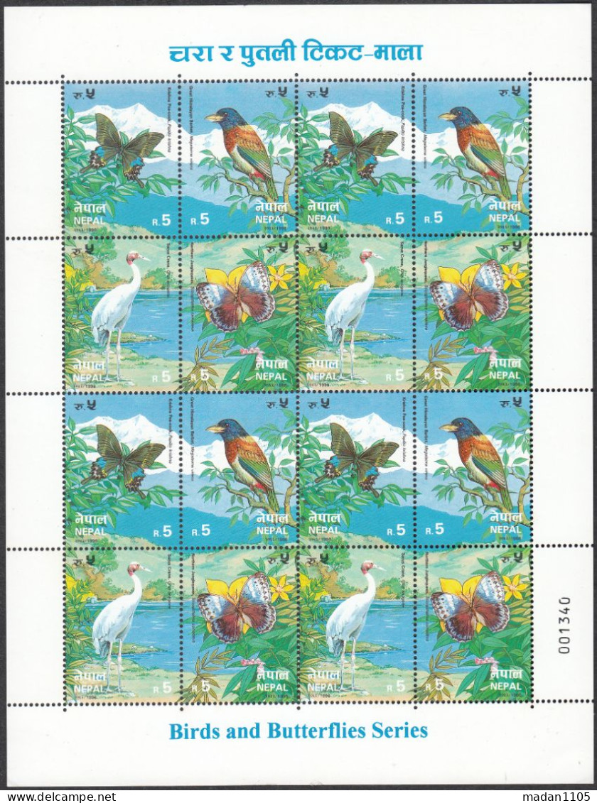 NEPAL, 1996, Birds & Butterflies Serie , Fauna, Full Sheet, Setenant Blocks Of 4 X 4 Sets,16 Stamps,  MNH, (**) - Nuevos