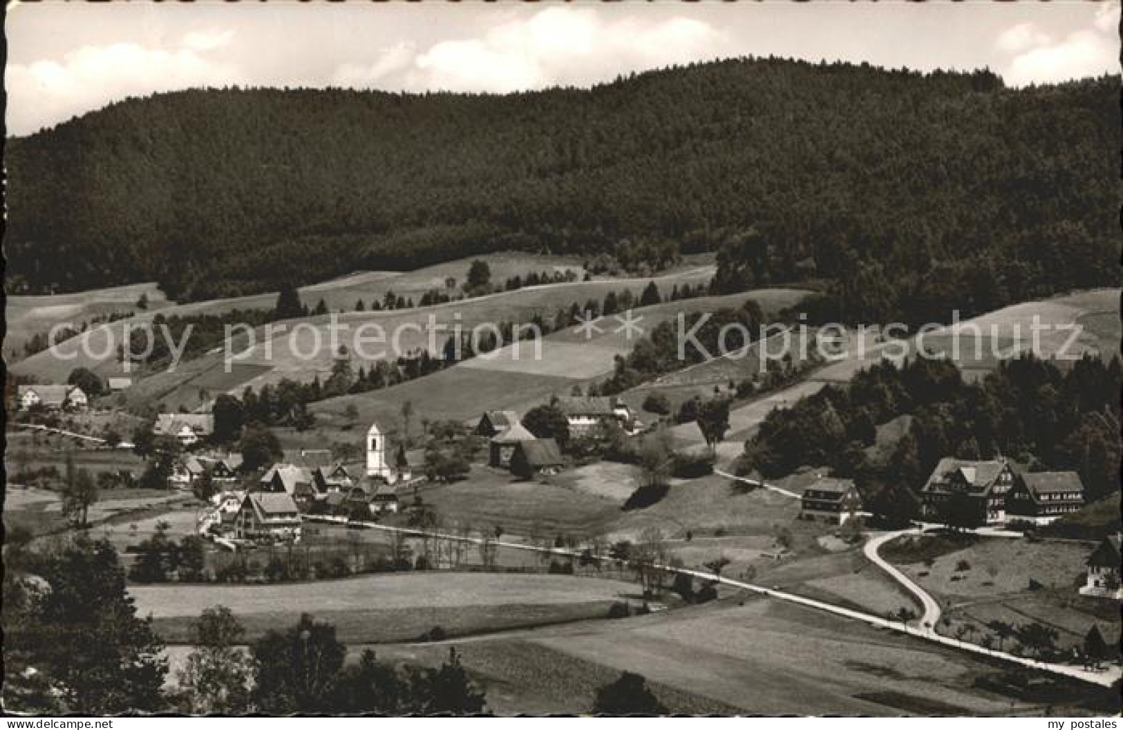 41599091 Reinerzau Ortsblick Alpirsbach - Alpirsbach