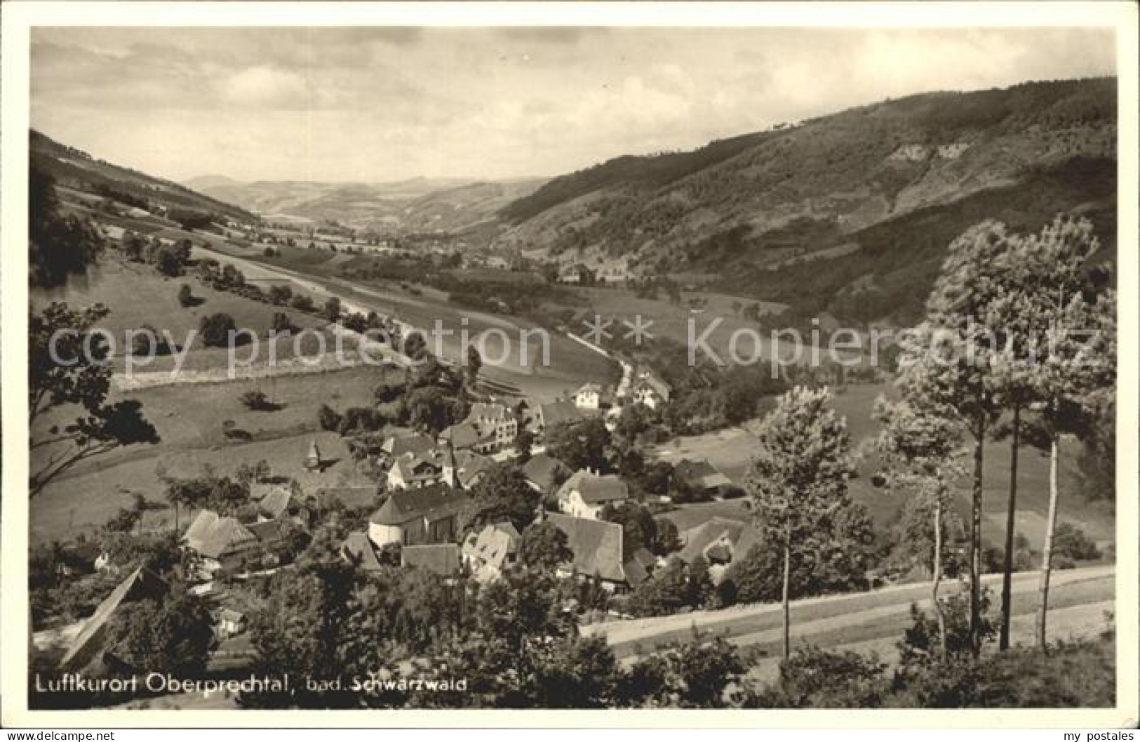 41598907 Oberprechtal Panorama Elzach - Elzach