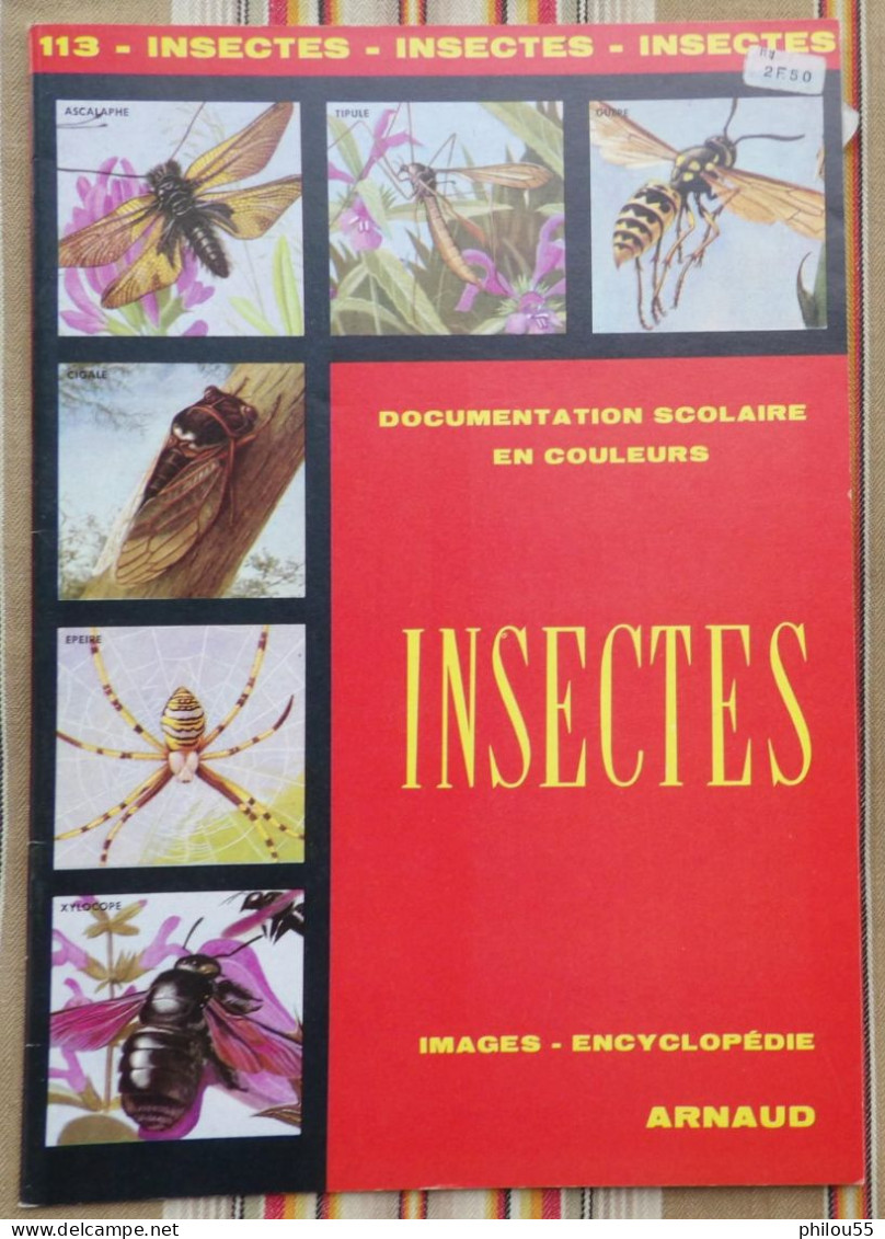 DOCUMENTATION SCOLAIRE Images ARNAUD INSECTES 1976 - Fichas Didácticas