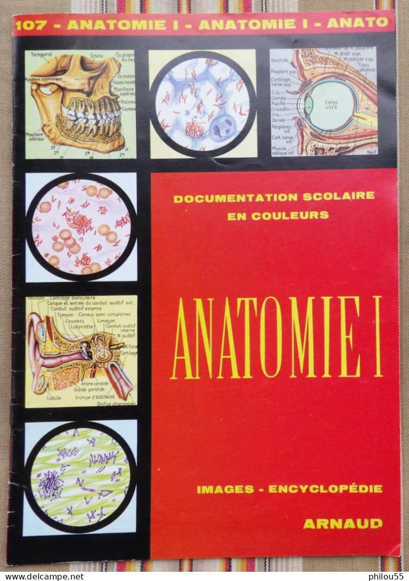 DOCUMENTATION SCOLAIRE Images ARNAUD ANATOMIE 1973 - Learning Cards