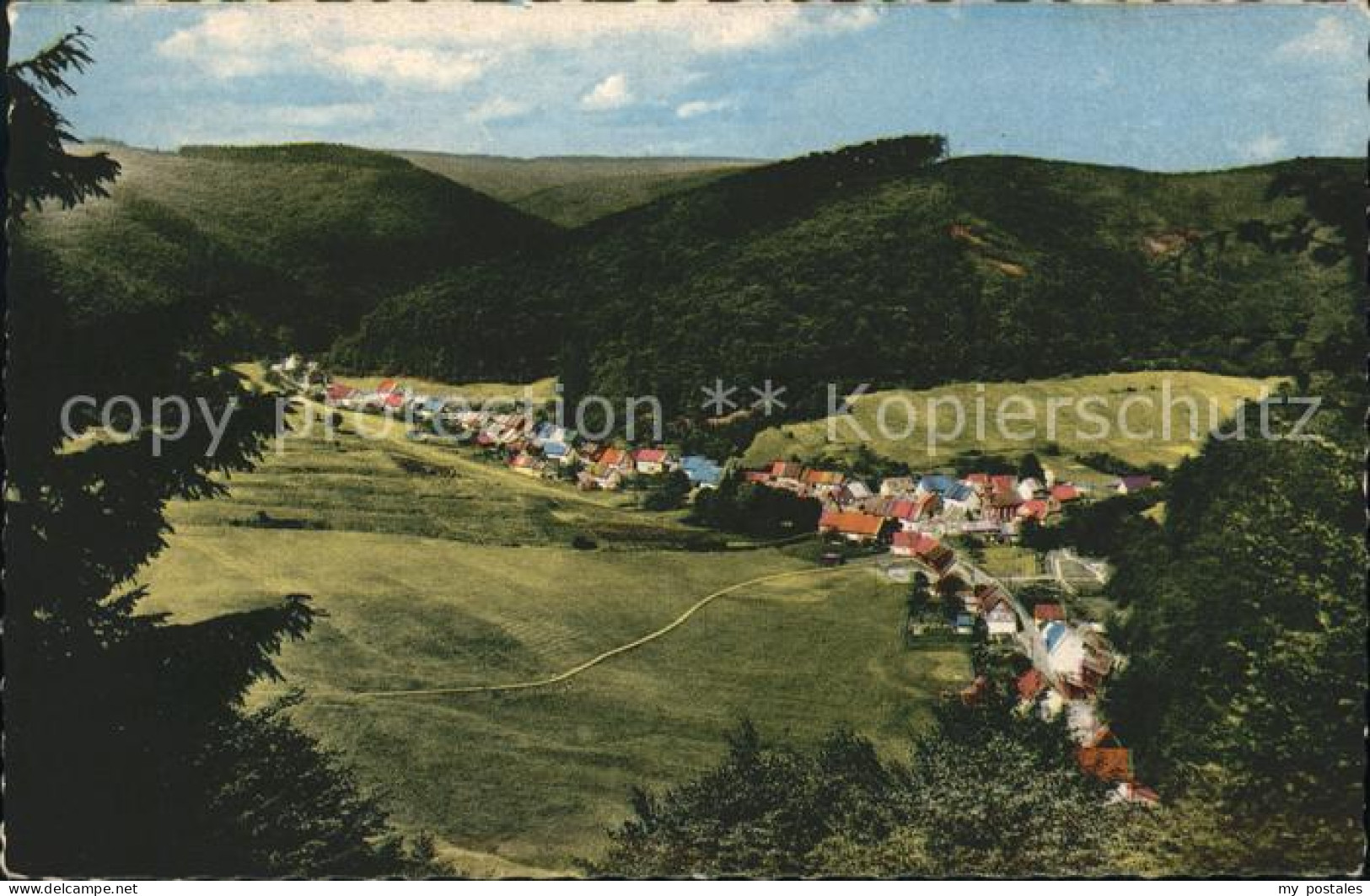 41598391 Lonau Panorama Blick Vom Heuer Herzberg Am Harz - Herzberg