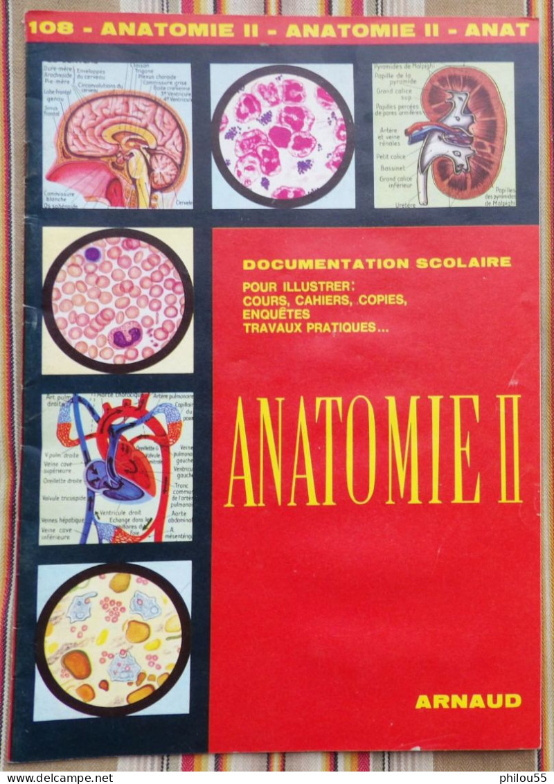 DOCUMENTATION SCOLAIRE Images ARNAUD ANATOMIE II 1982 - Lesekarten