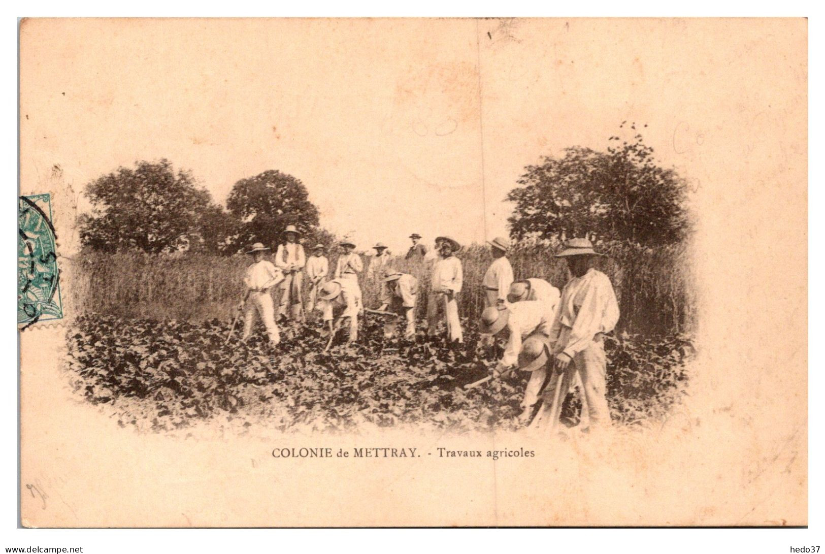 Mettray - Colonie De Mettray - Travaux Agricoles - Mettray