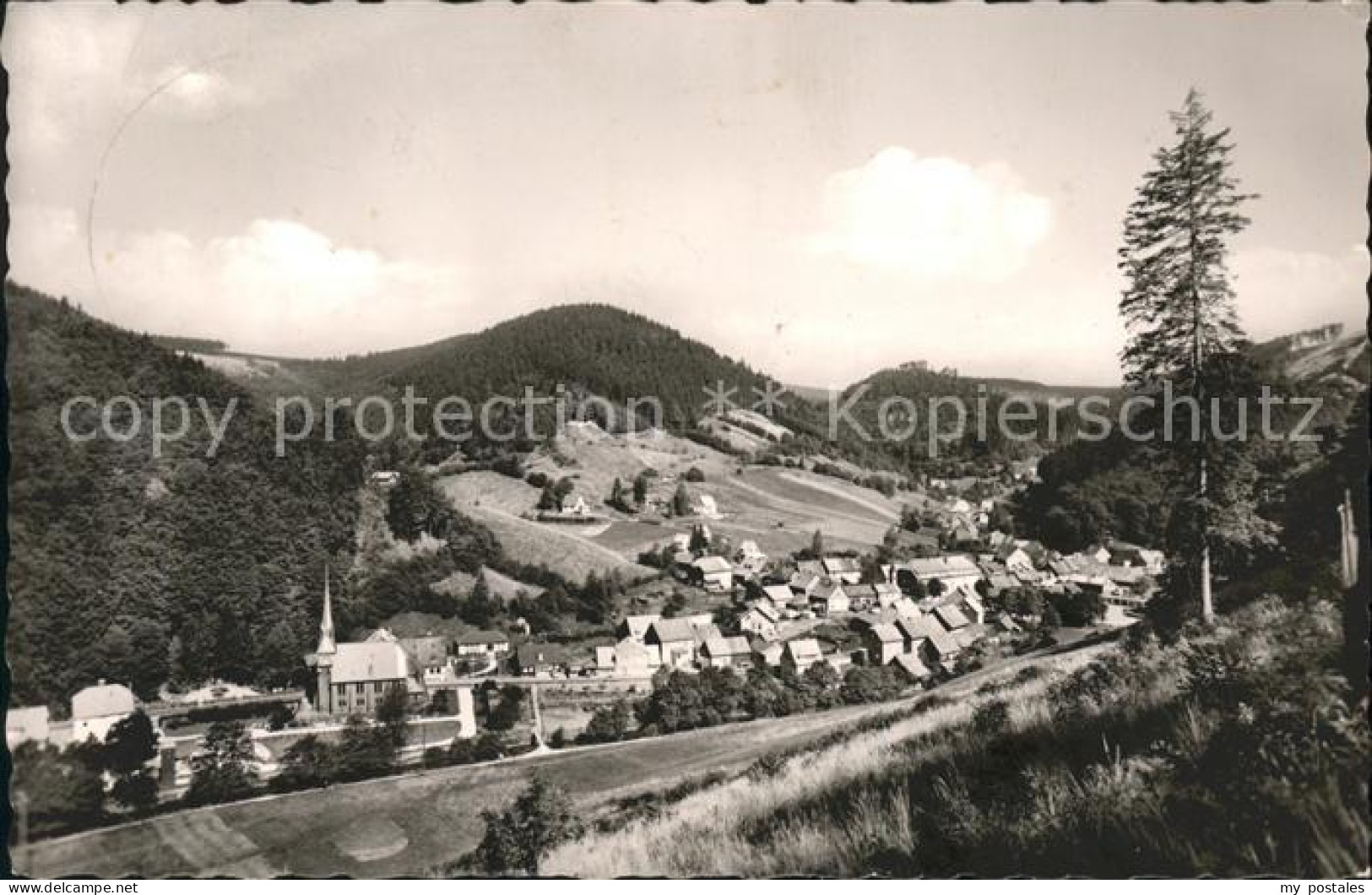 41598056 Sieber Blick Vom Oberen Sieberweg Herzberg Am Harz - Herzberg