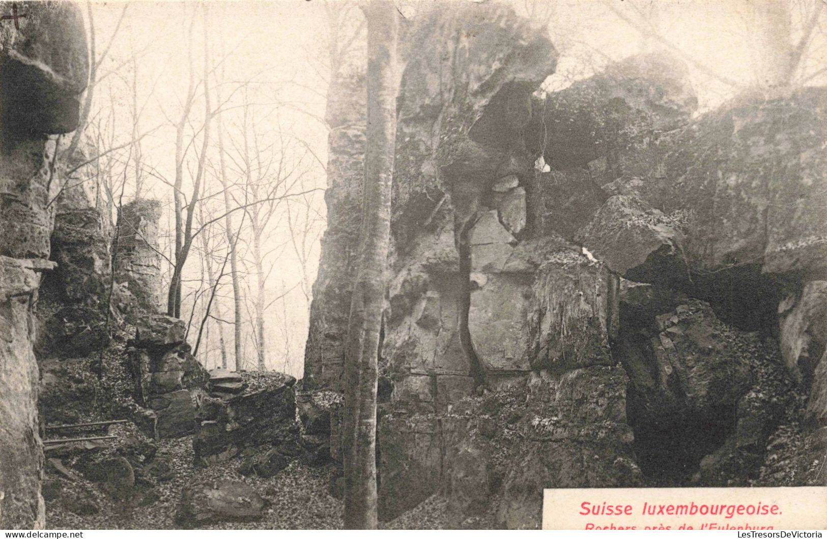 LUXEMBOURG - Suisse Luxembourgeoise - Rochers Près De L'Eulenburg - Carte Postale Ancienne - Sonstige & Ohne Zuordnung