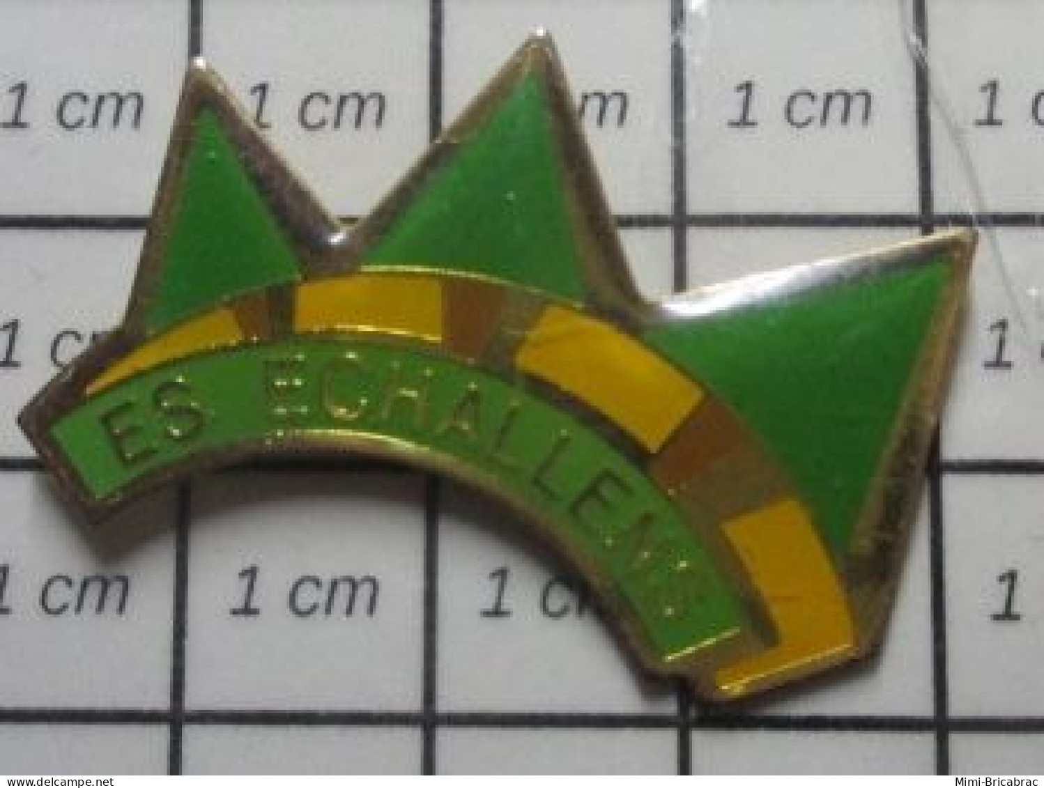 2922 Pin's Pins / Beau Et Rare / SPORTS /  CLUB SPORTIF E.S. ECHALLENS SUISSE CANTON DE VAUD - Gymnastique