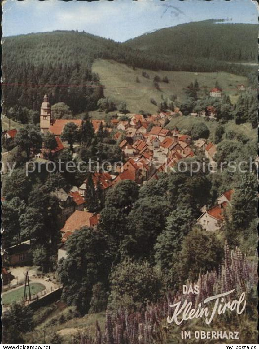 41596187 Wildemann Gesamtansicht Wildemann Harz - Wildemann