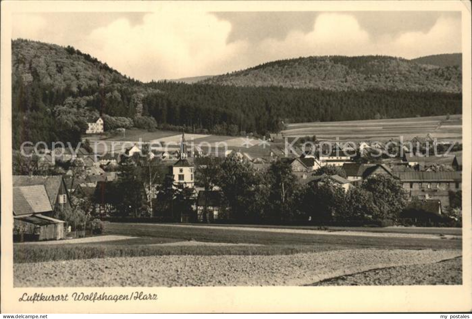 41595858 Wolfshagen Harz  Langelsheim - Langelsheim